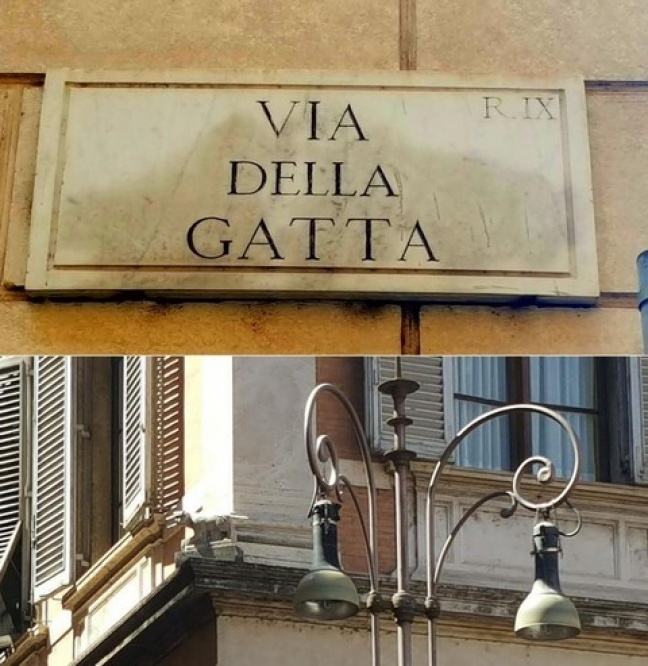 I gatti di Roma